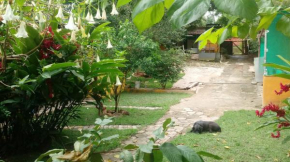 Mini sítio da cachoeira